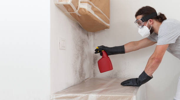 Professional Attic Mold Remediation technician working in Warren, MI