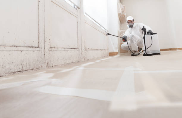 24/7 Emergency Attic Mold Remediation experts in Warren, MI